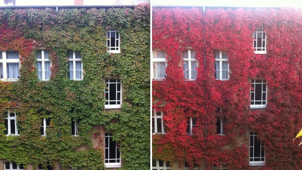 Quand L Automne Repeint La Nature De Ses Couleurs Chaudes 11 Superbes