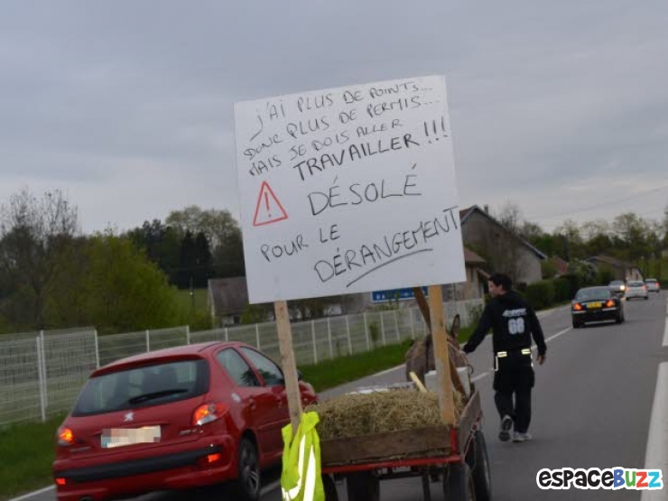 Illustration de l'article : France: Son permis retiré, il se rend au travail avec un âne et provoque un énorme bouchon