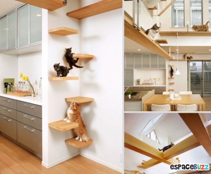 13 Amenagements Astucieux Pour Animaux De Compagnie