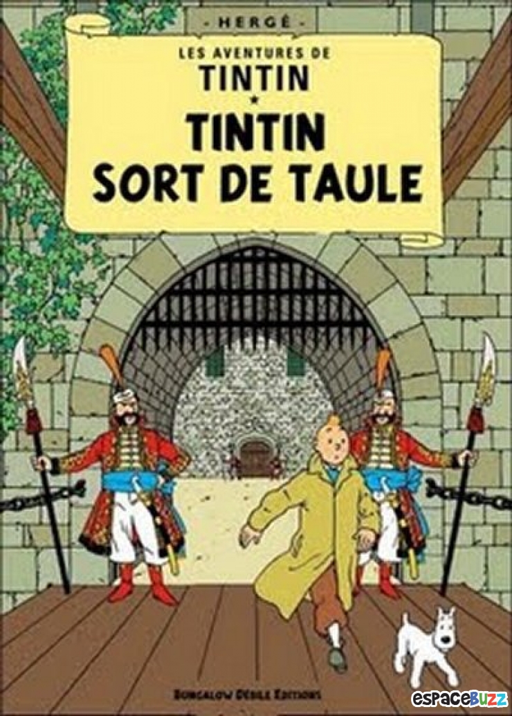 Top 10 Des Meilleurs Détournements De Titres De B.D. Tintin