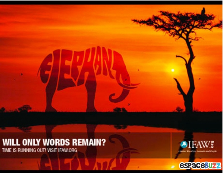 Illustration de l'article : Top 14 des campagnes publicitaires choc pour la protection de l’environnement