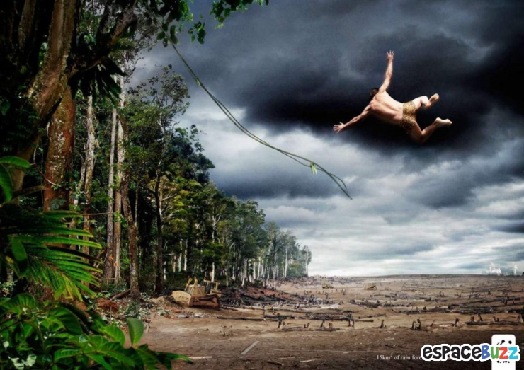 Illustration de l'article : Top 14 des campagnes publicitaires choc pour la protection de l’environnement