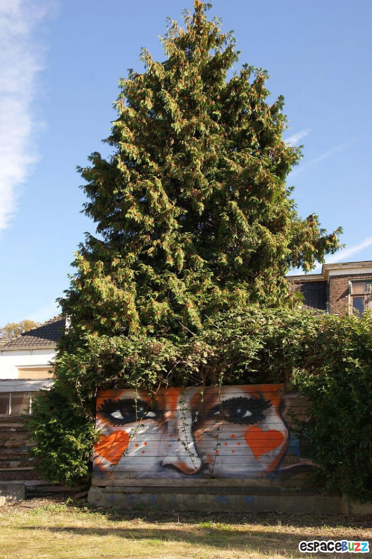 Illustration de l'article : Les 11 meilleures œuvres de street art combinées avec la nature