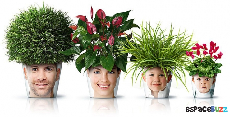 Illustration de l'article : 10 idées créatives inspirées par la nature