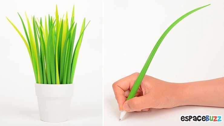 Illustration de l'article : 10 idées créatives inspirées par la nature