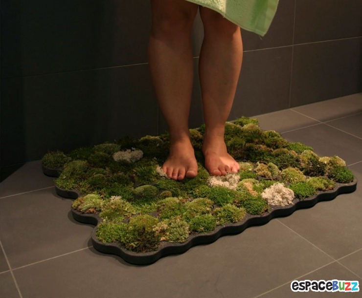 Illustration de l'article : 10 idées créatives inspirées par la nature