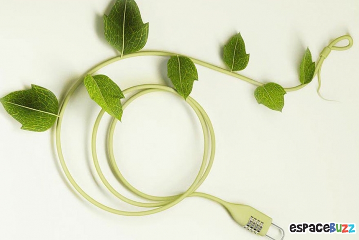 Illustration de l'article : 10 idées créatives inspirées par la nature