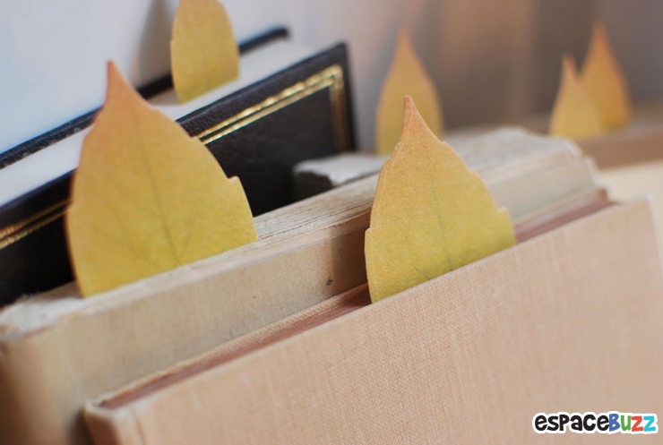 Illustration de l'article : 10 idées créatives inspirées par la nature