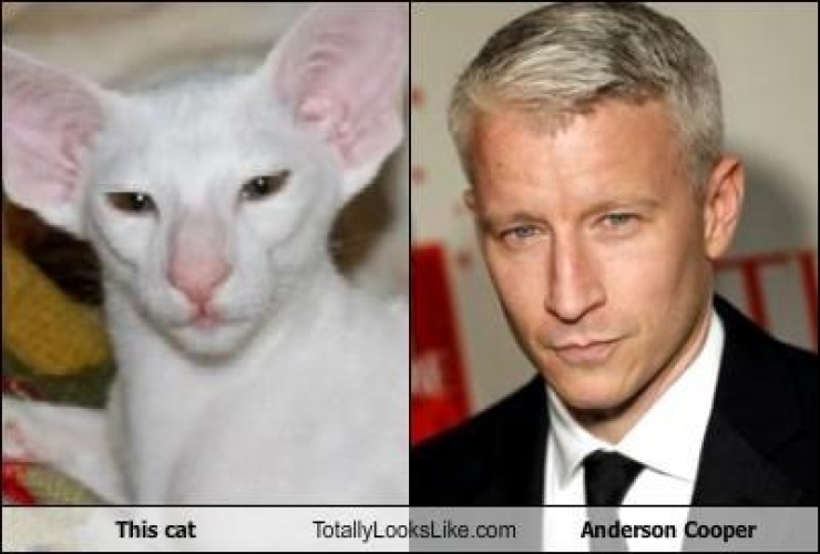 Anderson Cooper Nude Pics