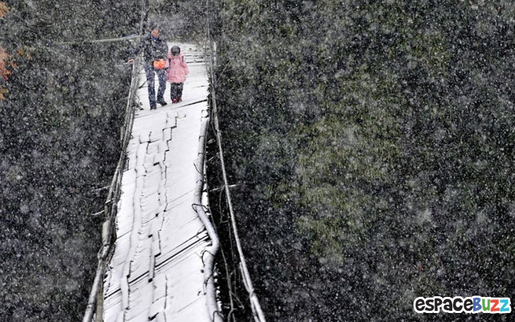 Illustration de l'article : Vous pensiez galérer en allant à l'école? Ces 12 photos vous aideront à relativiser