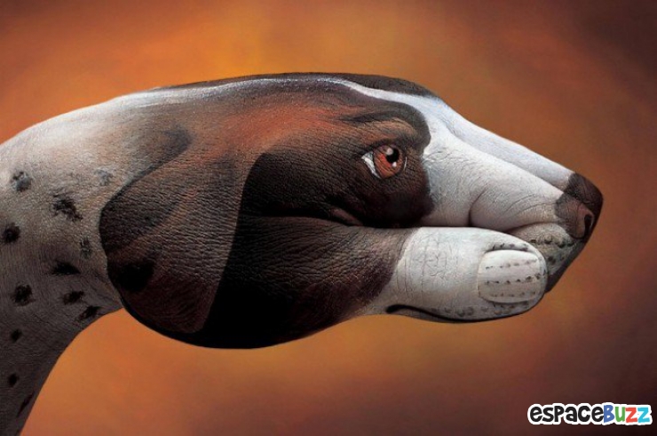 Illustration de l'article : 12 oeuvres de hand art en forme d'animaux