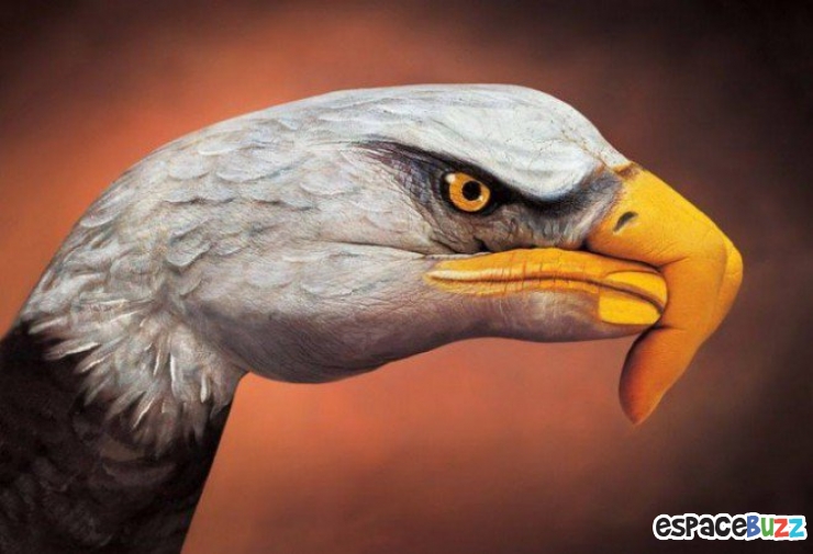 Illustration de l'article : 12 oeuvres de hand art en forme d'animaux