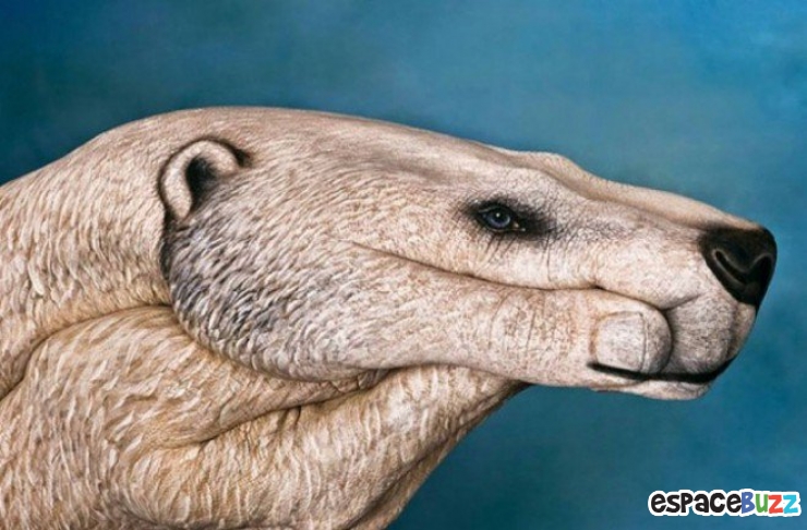 Illustration de l'article : 12 oeuvres de hand art en forme d'animaux