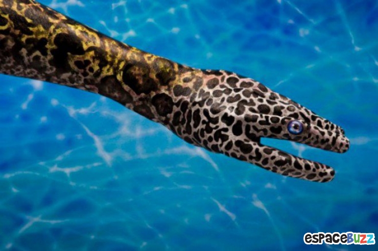 Illustration de l'article : 12 oeuvres de hand art en forme d'animaux