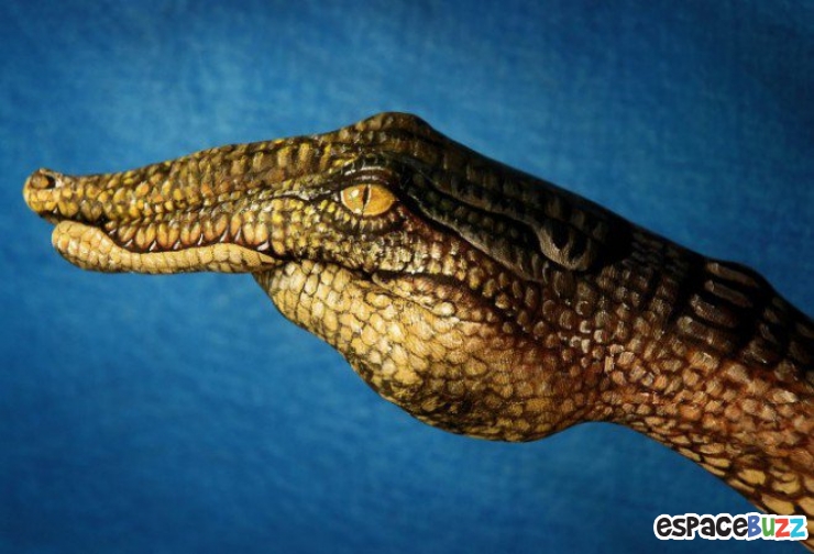 Illustration de l'article : 12 oeuvres de hand art en forme d'animaux