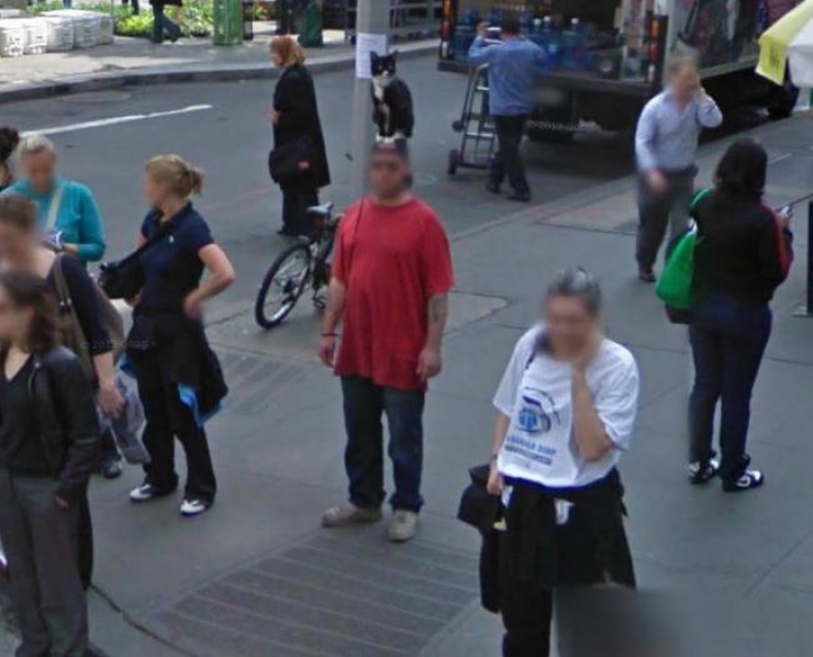 Illustration de l'article : 12 scènes insolites capturées sur Google Street View. La 5 est juste énorme...