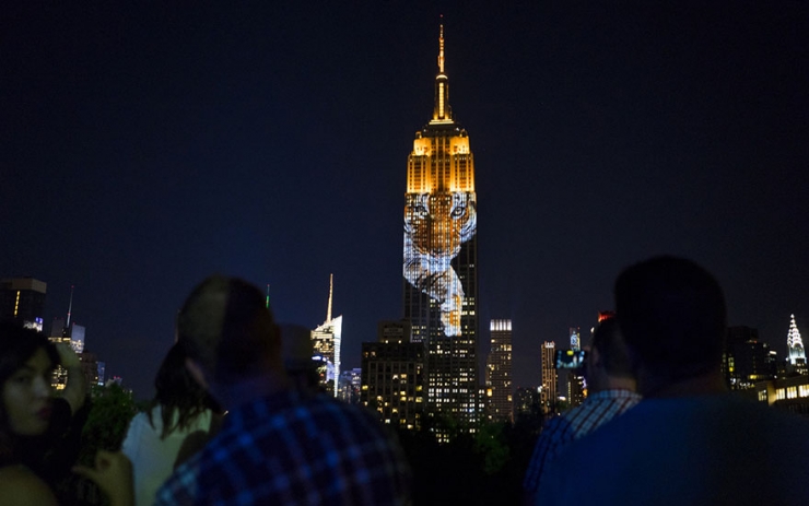 Illustration de l'article : Un superbe hommage à Cecil le lion et à 160 animaux en danger projeté sur l'Empire State Building