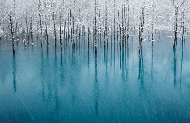 Illustration de l'article : Quand l'hiver peint ses plus belles oeuvres d'art : 13 photos d'étendues d'eau gelées à couper le souffle