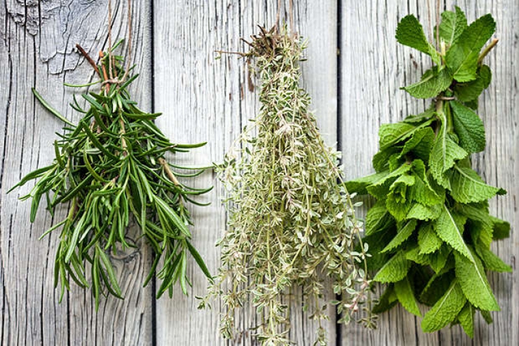 Illustration de l'article : 15 aliments à ne SURTOUT pas mettre dans le réfrigérateur !