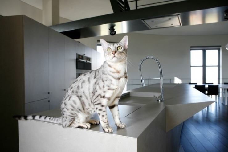 Illustration de l'article : Ce château d'eau inutilisé n'intéressait personne, jusqu'à ce qu'un architecte passe par la et le transforme en un appartement magnifique!