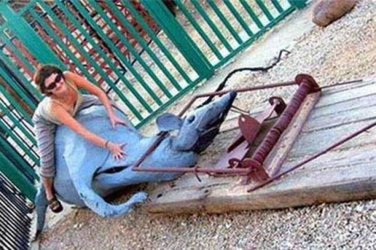 Illustration de l'article : Ces 25 jeux pour enfants qui ont plutôt l'air d'avoir été conçus pour des adultes…