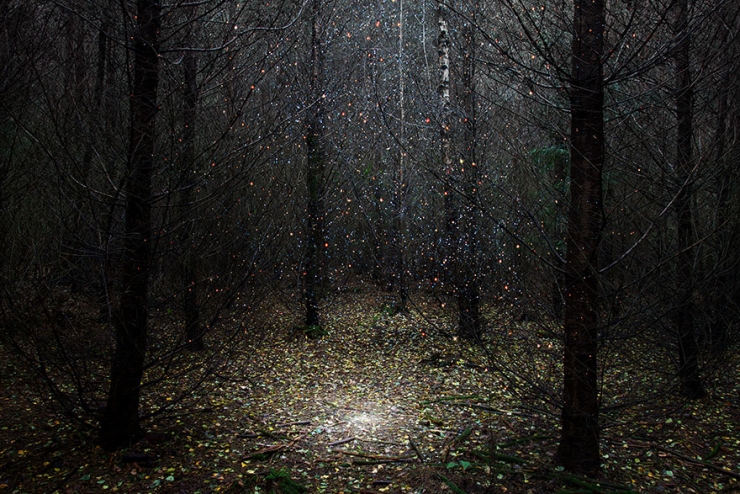 Illustration de l'article : Elle transforme les forêts britanniques en oeuvres d'art pleines de magie et de mystère