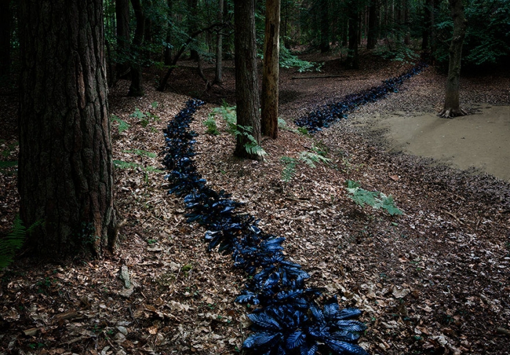 Illustration de l'article : Elle transforme les forêts britanniques en oeuvres d'art pleines de magie et de mystère
