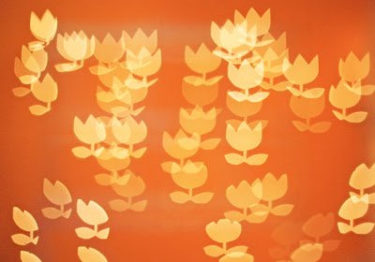 Illustration de l'article : Voici 10 techniques pas chères pour devenir un pro de la photographie…La 3 est géniale…