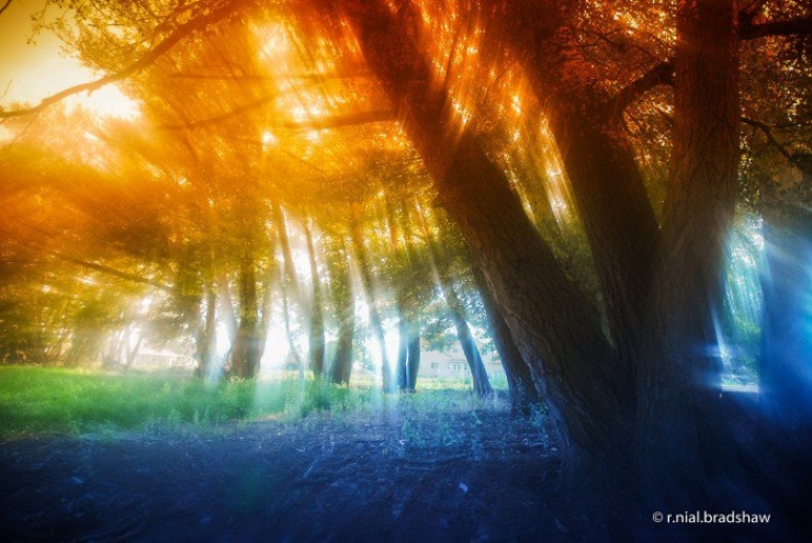 Illustration de l'article : Voici 10 techniques pas chères pour devenir un pro de la photographie…La 3 est géniale…