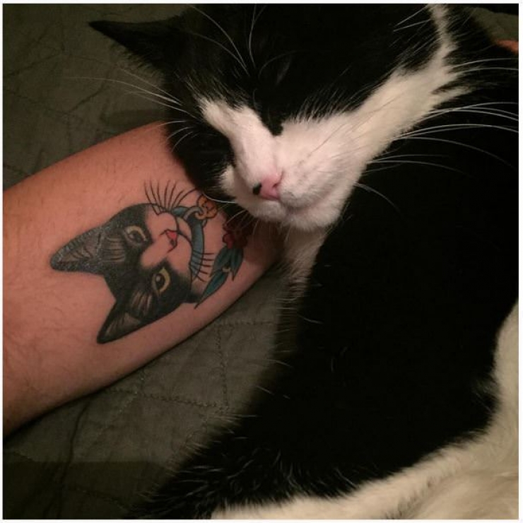 Ces Personnes Qui Ont Choisi De Se Faire Tatouer Les Portraits De Leurs Chats Adores