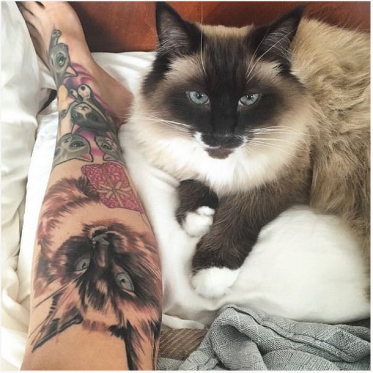 Ces Personnes Qui Ont Choisi De Se Faire Tatouer Les Portraits De Leurs Chats Adores