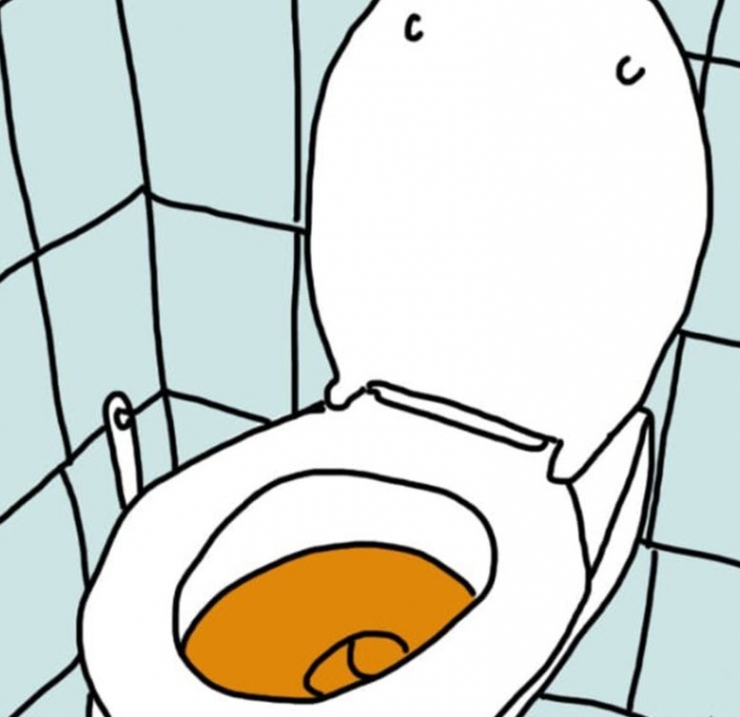 Illustration de l'article : La couleur de votre urine en dit long sur votre santé… Voici ce qu’il faut savoir: