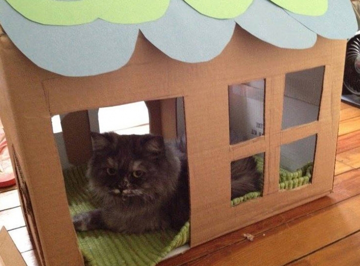 Illustration de l'article : Voici 15 idées de jouets pour enfants, à fabriquer avec des boites de carton…Des idées de génie !