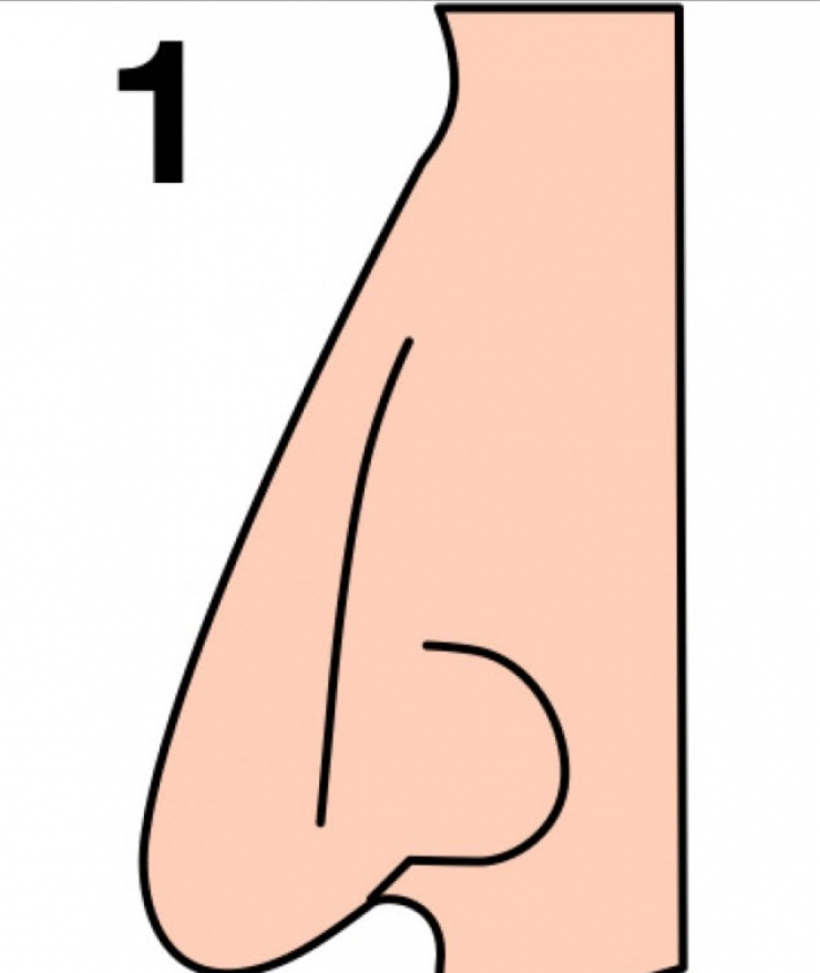 Illustration de l'article : La forme de votre nez en dit beaucoup sur votre personnalité… Voici ce qu’il faut savoir !