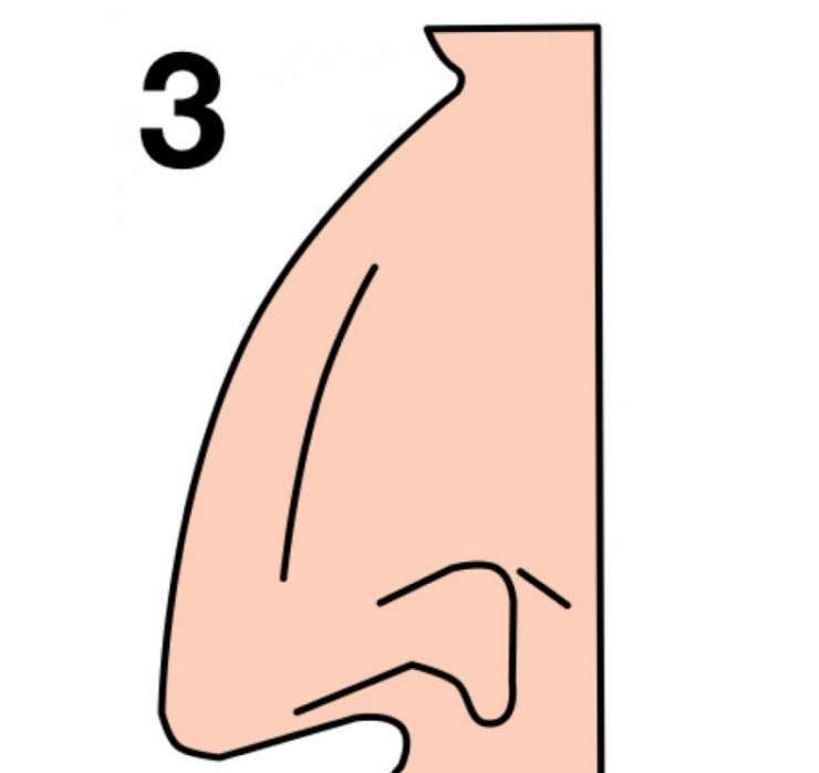 Illustration de l'article : La forme de votre nez en dit beaucoup sur votre personnalité… Voici ce qu’il faut savoir !
