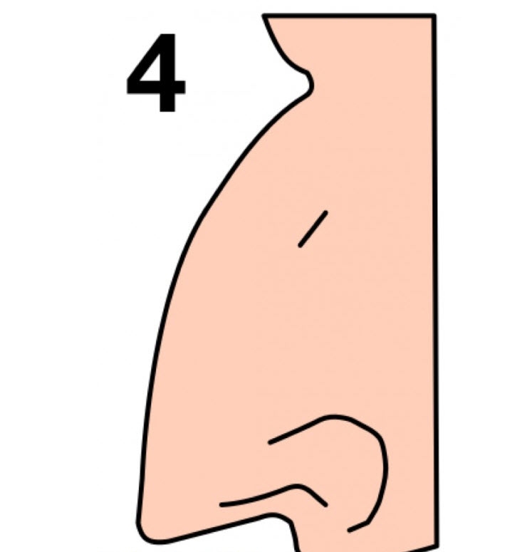 Illustration de l'article : La forme de votre nez en dit beaucoup sur votre personnalité… Voici ce qu’il faut savoir !