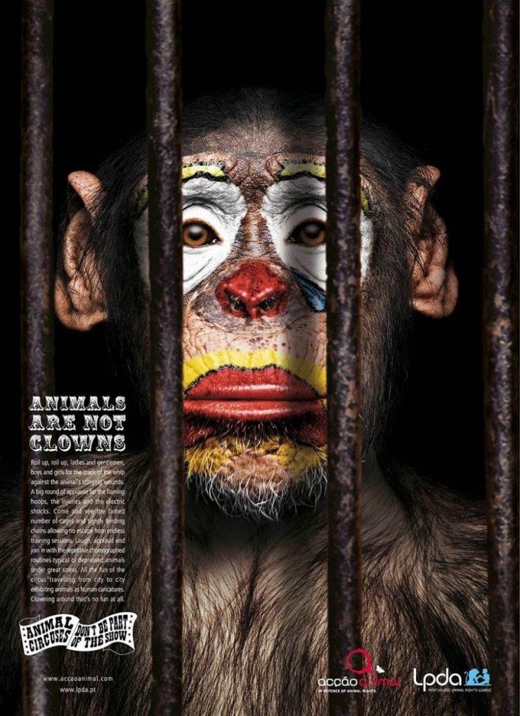 Illustration de l'article : Attention, ces 30 campagnes risquent fortement de vous dégouter de la race humaine...