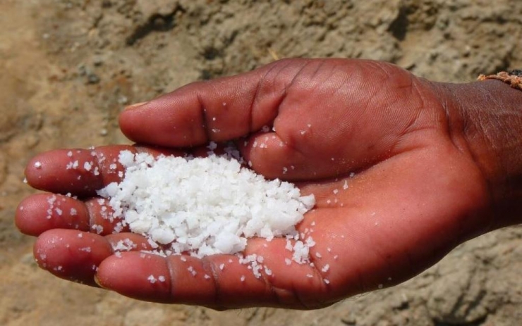 Illustration de l'article : Faites attention à ces 8 mauvaises habitudes ! Tout le monde le fait et c'est mortel pour les reins !