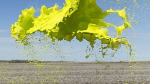 Illustration : "Top 10 des meilleures explosions de liquides colorés en photos"