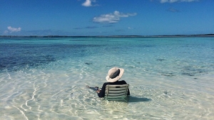 Illustration : "12 photos pleines de fraîcheur pour oublier la canicule"