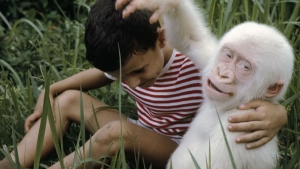 Illustration : "12 animaux totalement blancs, parce qu'albinos ou leuciques"