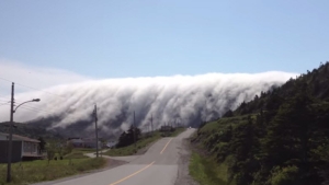 Illustration : "Quand le brouillard arrive dans cette région du Canada, il ne fait pas dans la demi-mesure"