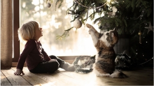 Illustration : "Elle photographie ses enfants et les animaux de sa ferme ; découvrez 23 parmi les plus beaux clichés réalisés par cette maman photographe"