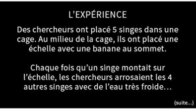 Illustration : Cette histoire devrait vous faire réfléchir sur votre vie! Peut-être vous reconnaîtrez-vous?