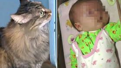 Illustration : Ce chat se blottit contre ce bébé et la raison est tout juste attendrissante!