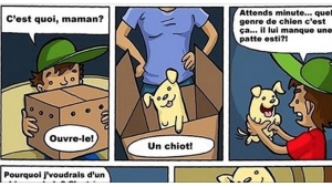 Illustration : "Ce petit garçon a reçu un chien handicapé qui lui a légué une incroyable leçon de vie !"