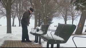 Illustration : "Voilà 2 ans qu'il se rend tous les jours sur le banc de ce parc pour une raison magnifique !"