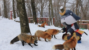 Illustration : "Découvrez ce village japonais peuplé de renards"