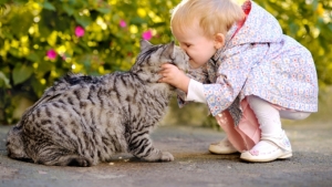 Illustration : "Chats et bébés complices : 19 merveilleuses photos pour faire le plein de bonne humeur"