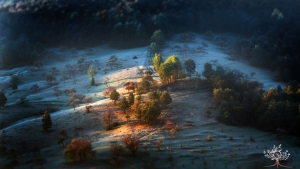 Illustration : "La lumière naturelle de l'aube sublime ces magnifiques paysages transylvaniens captés par un talentueux photographe"